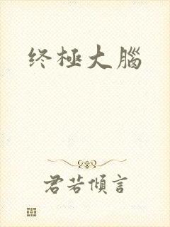 终极大脑