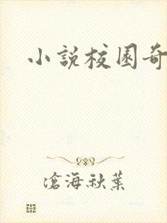 小说校园奇侠