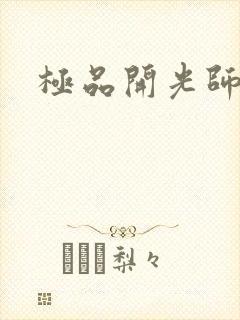 极品开光师