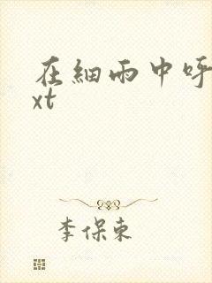 在细雨中呼喊txt