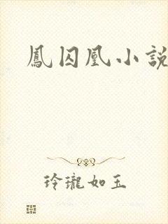凤囚凰小说