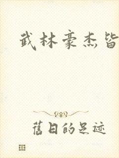 武林豪杰皆我奴封面