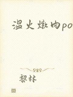 温火炖肉pop