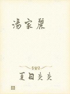 汤家丽封面
