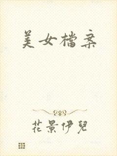 美女档案封面