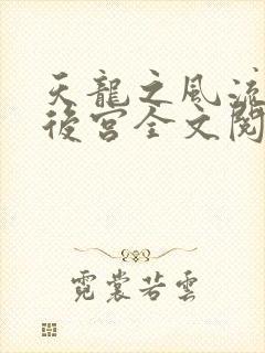天龙之风流猎艳后宫全文阅读