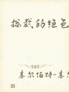 总裁的绝色宠妻