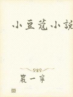 小豆蔻小说