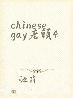 chinesegay老头4