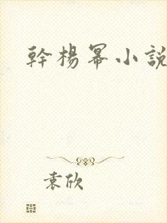 干杨幂小说封面