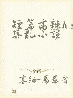 短篇高辣h文合集乱小说