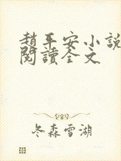 赵平安小说免费阅读全文