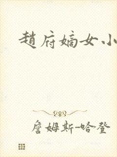 赵府嫡女小说
