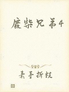 废柴兄弟4封面