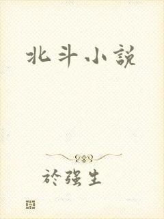 北斗小说