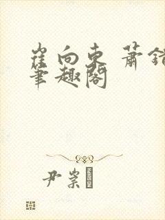 崔向东 萧错 笔趣阁