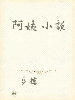 阿姨 小说