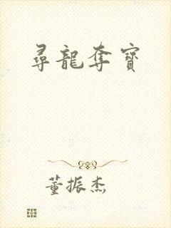 寻龙夺宝