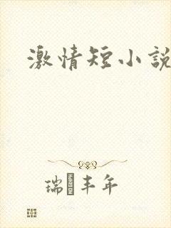 激情短小说封面