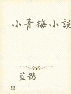 小青梅小说