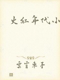 火红年代小说