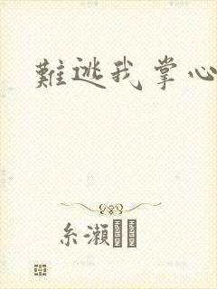 难逃我掌心封面