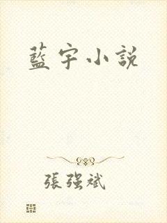 蓝宇小说