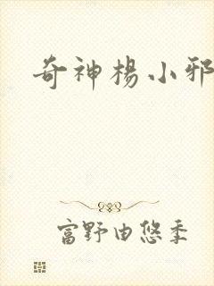 奇神杨小邪封面