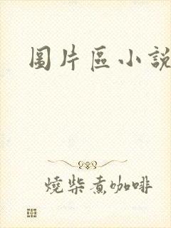 图片区小说区