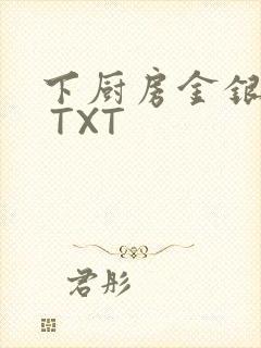 下厨房金银花露 TXT封面