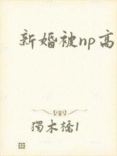 新婚被np高h