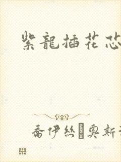 紫龙插花芯封面