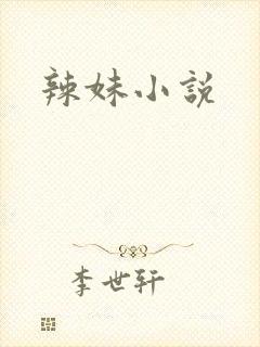 辣妹小说