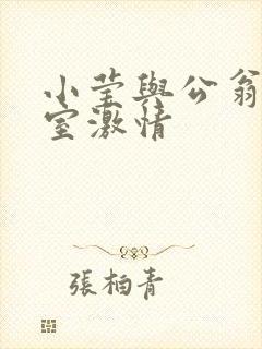 小莹与公翁办公室激情
