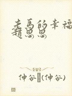 老马的幸福生活赵思思