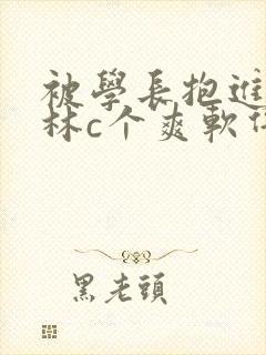 被学长抱进小树林c个爽软件封面