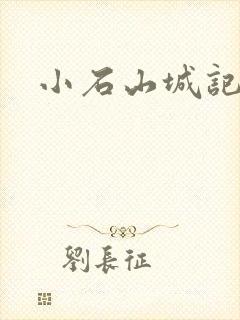 小石山城记封面