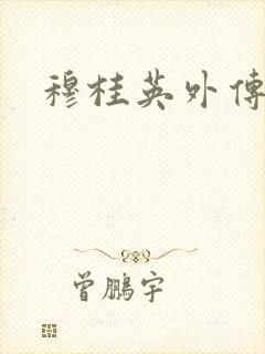 穆桂英外传