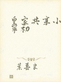 皇家共享小公主宁初