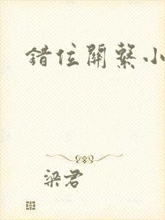 错位关系小说