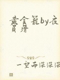 黄金笼by夜很贫瘠