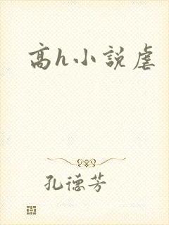 高h小说虐封面