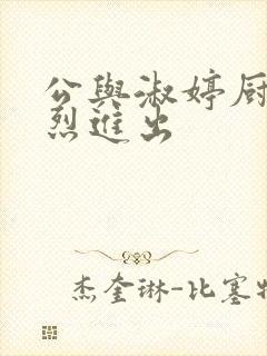 公与淑婷厨房猛烈进出封面