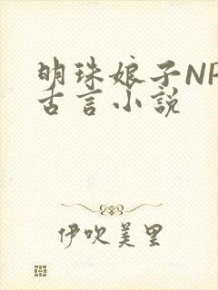 明珠娘子NPC古言小说