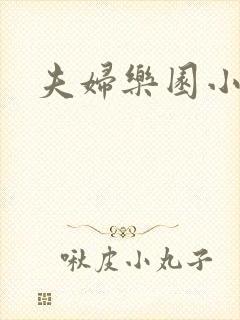 夫妇乐园小说