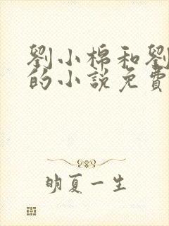 刘小棉和刘易文的小说免费阅读