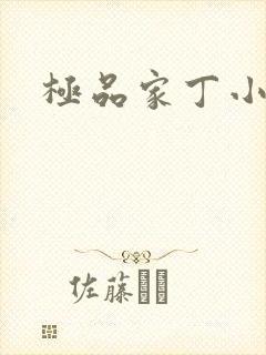 极品家丁小说封面