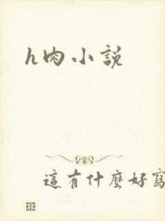 h肉小说封面