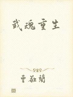 武魂重生封面
