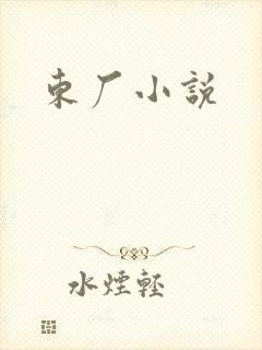 东厂小说封面